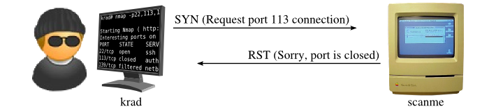 Figure 4: SYN scan of closed port 113
