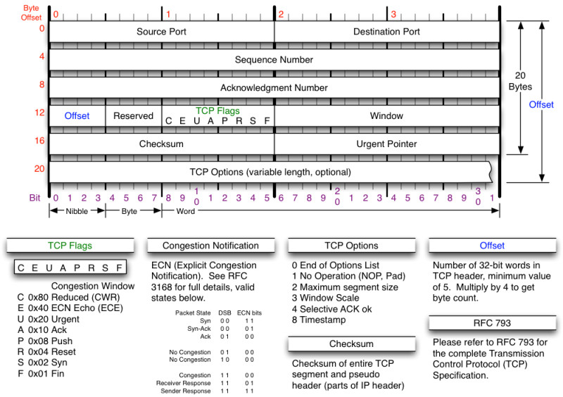 Figure 2: tcp header